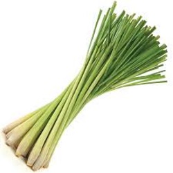 Lemongrass Essential Oil has the ability to relax your mind, soothe sore muscles, support digestive systems and as medicine for infectious diseases and fever, calm colitis, gastric inflammation, indigestion, irritable bowel syndrome (IBS), acne, athlete's foot, nausea, etc.