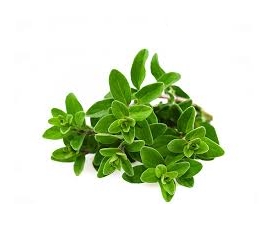 Marjoram Essential Oil aids digestive & menstrual concerns, nervous & respiratory complaints, helps diseases of the chest, liver & spleen, is used for muscular & rheumatic pain, sprains, stiff joints, bruises, etc. It has the potential to heal & defend against gastric ulcers